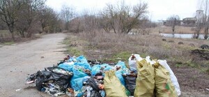 Симферопольцев приглашают на субботник к пруду