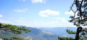 Из-за VIP-дач Ялтинский заповедник сократят на 400 гектаров