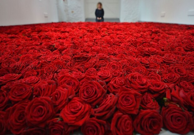 Заполучить миллион роз можно, но только по предварительному заказу из Голландии. Фото: kulturologia.ru