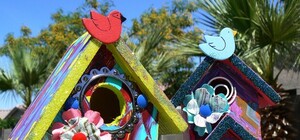 В парке Рыльского появятся разноцветные скворечники