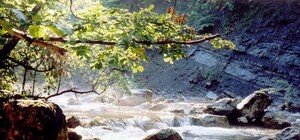 Какой будет погода в Крыму 21 марта