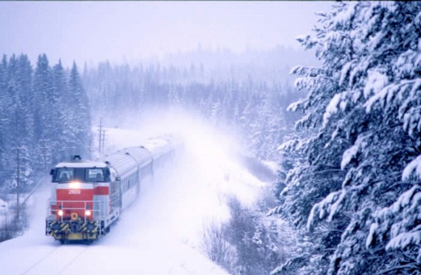 Поезда задерживаются на три часа. Фото: mediaport.ua 