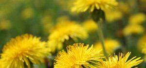 Гидрометцентр дал новый срок - когда же потеплеет?