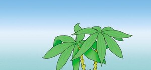 В КГГА советуют запастись спичками и хлебом и занять место на возвышении