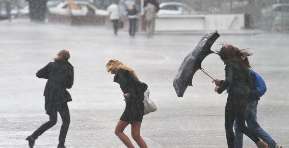 В Киеве объявлено штормовое предупреждение. Фото: metronews.ru