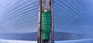 Сегодня молодые фотохудожники покажут свои работы в галерее 