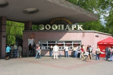 Сотрудников и посетителей зоопарка хотят застраховать. Фото: segodnya.ua