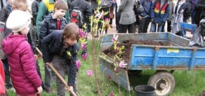 В Симферополе благодаря макулатуре появился сад магнолий
