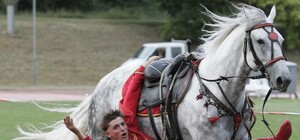 В Пирогово покажут конное шоу 
