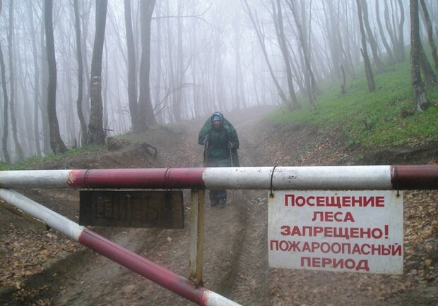 Ограничения для посещения отдыхающими лесопосадок и парков в Киеве может продолжаться все лето.
Фото: www.sarov.com