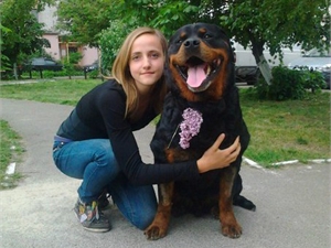 Несмотря на грозную породу, Шева - очень дружелюбный пес. Фото: kp.ua