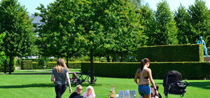 Киевлян приглашают на Зеленую толоку