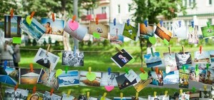 Сегодня в парке Киото будут 