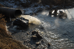 В Луганской области поселок утопает в фекалиях