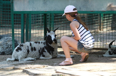 Киевский зоопарк будет пускать детей бесплатно. Фото: news.online.ua