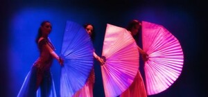 В Запорожье покажут настоящее эрошоу райские искусительницы из 