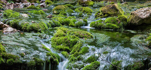 Каньон Узунджа в Крыму: зелень леса и пересыхающее русло бурной реки