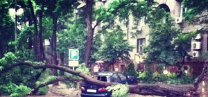 Во время вчерашней грозы в Запорожье дерево раздавило Lanos