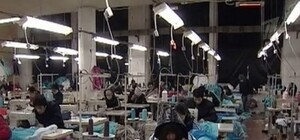 Кошмар в Одессе – нелегалов 