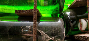 Фоторепортаж из многокилометровых винных подвалов Нового Света