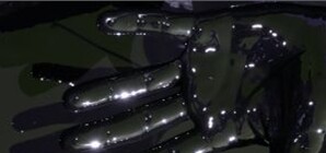 Виктор Медведчук: 