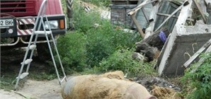 Под Одессой нашли бомбу времен ВОВ – местных жителей срочно начали спасать