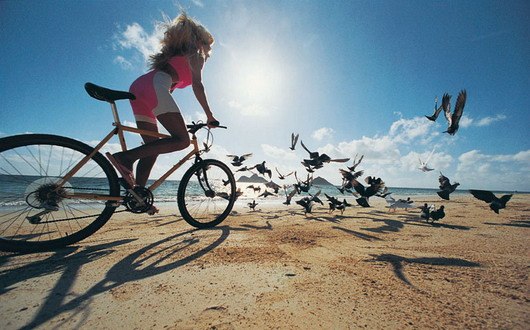 Велопрогулка по Познякам. Фото: vebidoo.de