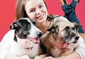 Собаки поженились с подачи певицы Алины Гросу.
Фото с сайта bagnet.org