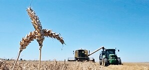 Рост цены на хлеб не ожидается, - Сергей Арбузов