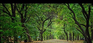 Чем жил Луганск: главные новости недели