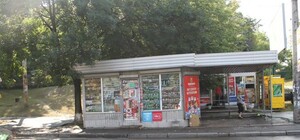 Превращаемся в Шанхай: остановки транспорта уродуют город