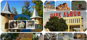 Все зоопарки Крыма: обитатели, цены, как добраться