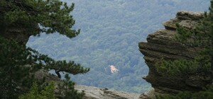 Острые гребни гор, реликтовые кедры и острые ощущения: ялтинская тропа Таракташ