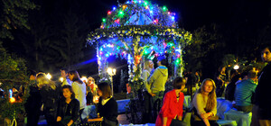 Ночной фестиваль 