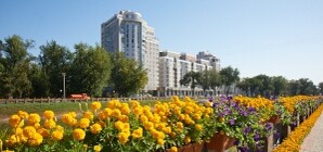 В Харькове побит цветочный рекорд Гиннесса