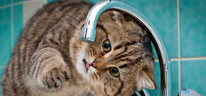 Жители дома в центре Запорожья останутся без воды надолго