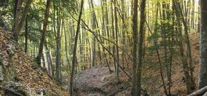 Министерство курортов Крыма составило список платных достопримечательностей