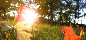 На следующей неделе в Украине потеплеет