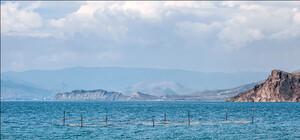 Температура воды в Черном море 14 сентября