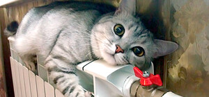 Городские обещания: когда в киевских квартирах станет тепло