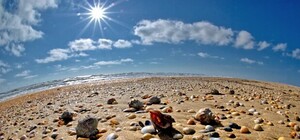 Температура воды в Черном море 19 сентября