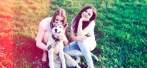 Трогательное воссоединение: пес, который любит кататься на троллейбусах, вернулся в семью