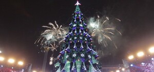 Готовь елку в сентябре: в КГГА определились, каким будет новогоднее дерево в этом году