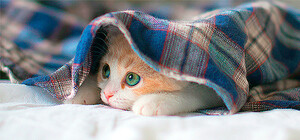 Отопительный сезон в городе начнется раньше времени