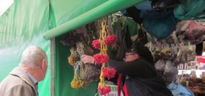 Грозит ли Крыму новый вид гриппа – 