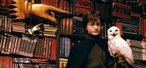 Итоги конкурса: кто пойдет на ночь кино с Гарри Поттером