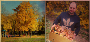 Луганск в Инстаграм: что фотографируют на телефоны горожане