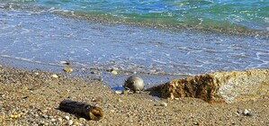 На крымском пляже туристов перепугал рогатый буй