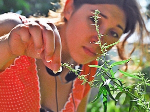 Аллергия на пыльцу амброзии может спровоцировать серьезные заболевания.
Фото с сайта kp.ua