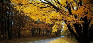 Осень в Луганске: красивые и профессиональные фото